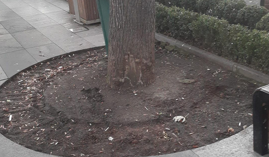 Trabzon'da mazgal operasyonu! Ekipler seferber oldu