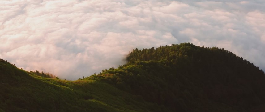 Rize’yi çektikleri filmle Dünya’ya tanıttılar