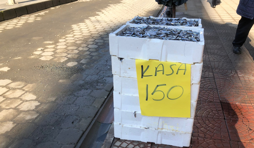 Rize'de-hamsi-fiyatları-vatandaşın-yüzünü-güldürüyor