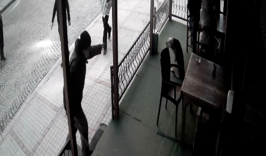 Rize'de bir kişi köpeğe şiddet uyguladı! O anlar kameralara yansıdı