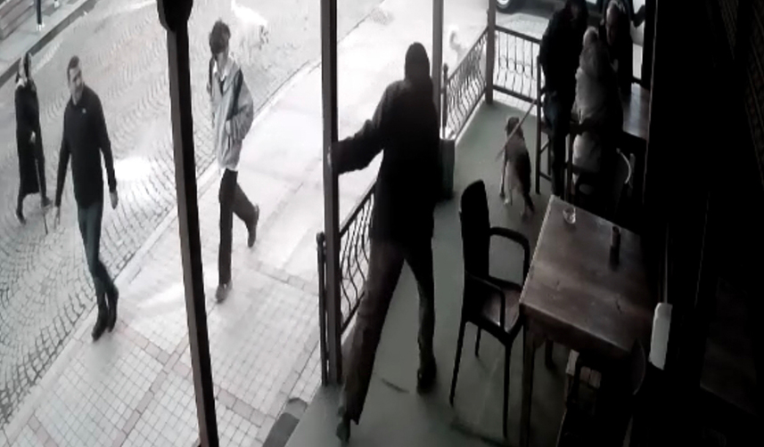 Rize'de bir kişi köpeğe şiddet uyguladı! O anlar kameralara yansıdı