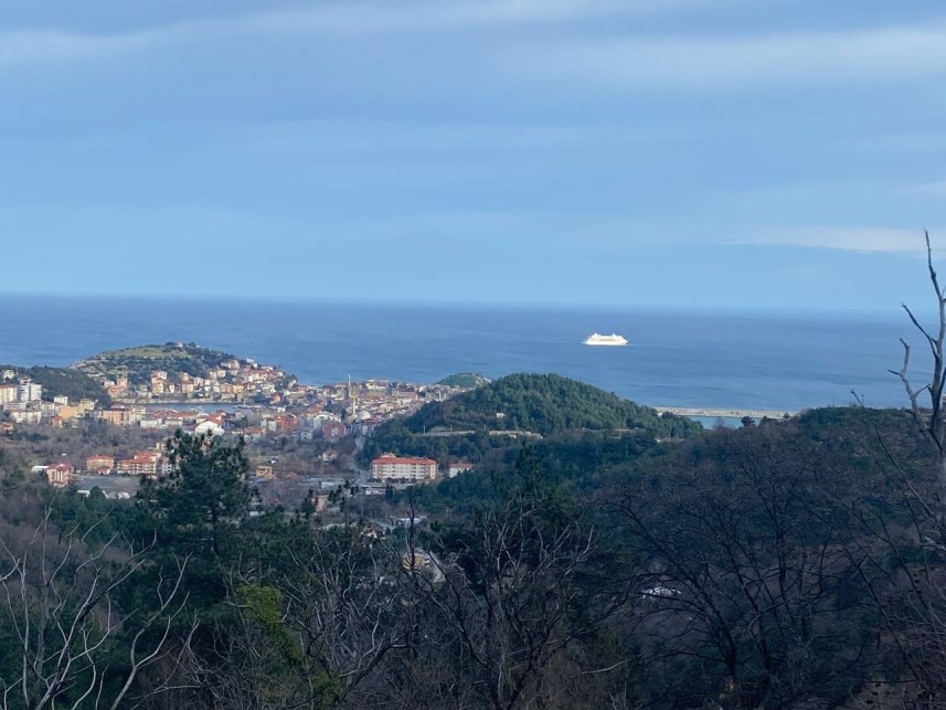 Trabzon’a gelen kruvaziyer Bartın’da kaza yaptı