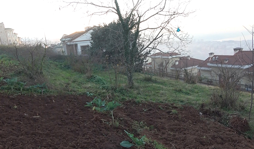 Trabzon'da arsa satışında 'kapora' dolandırıcılığı! Bakın hangi yöntemi kullanıyorlar