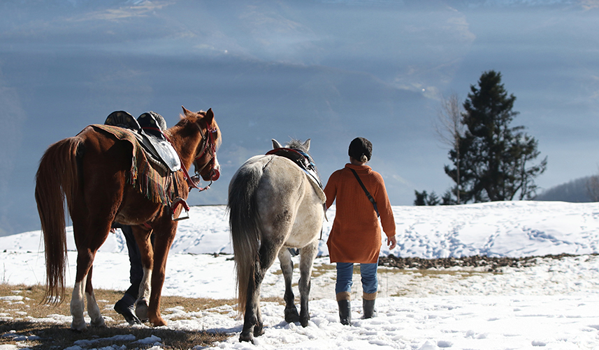 Trabzon'da-babasından-öğrendiği-binicilik-mesleği-oldu