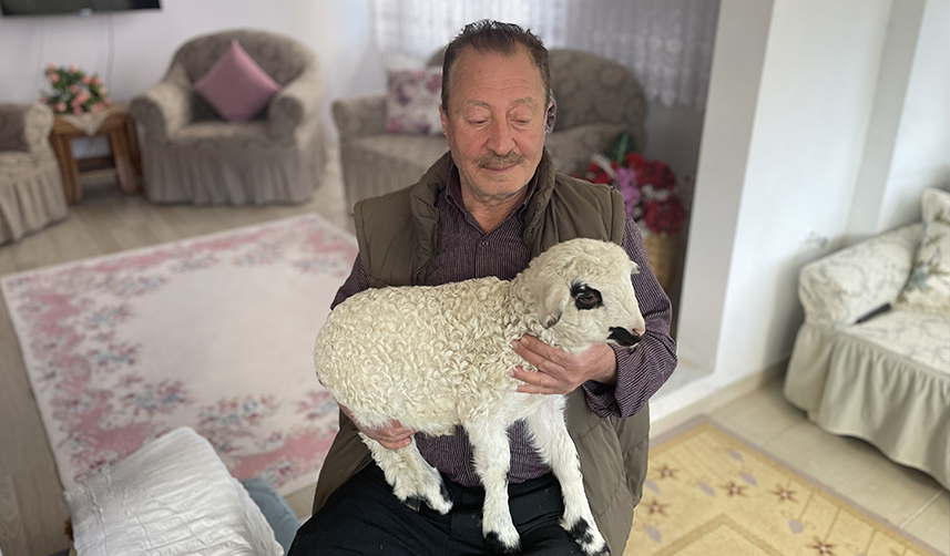 Trabzon'da bir haftalık 'Pamuk'u evlerinde bakıyorlar