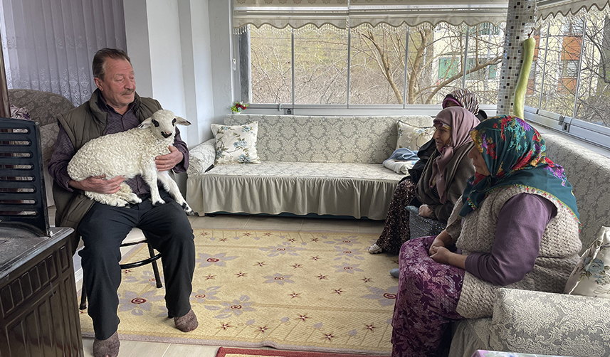 Trabzon'da bir haftalık 'Pamuk'u evlerinde bakıyorlar