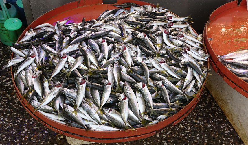 Trabzon'da-hamsi-azaldı!-İstavritin-fiyatı-şoke-etti