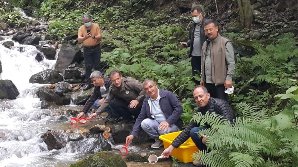 Trabzon'da üretildiler! 9 ilde doğaya salındılar