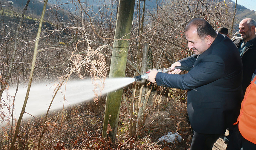 Trabzon'da yangın! 3 dönüm fındıklık zarar gördü