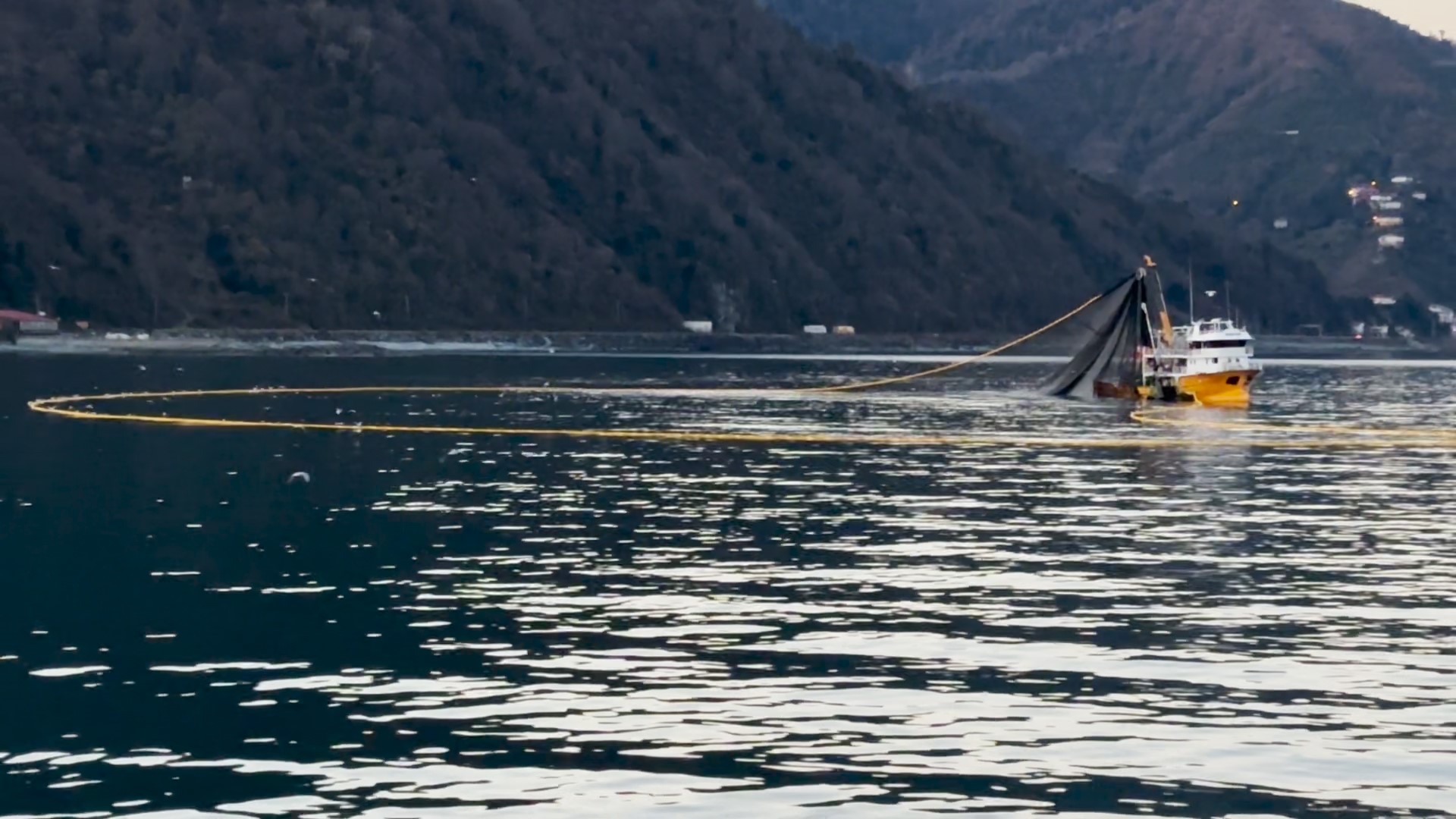 Rize'de hamsi tezgahları süsledi! Vatandaşın yüzü güldü
