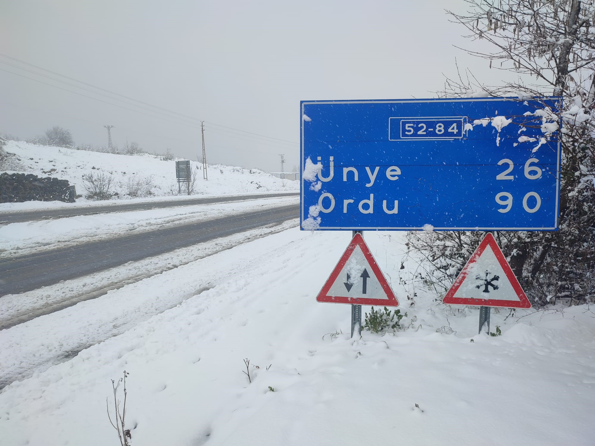 Ordu'da kar yağışı etkili oldu