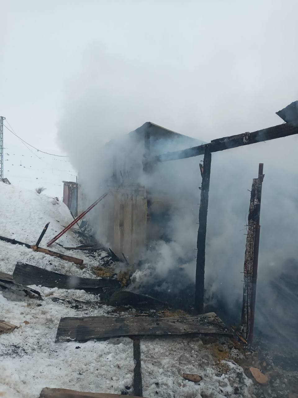 Bayburt'ta yangın! Yavru köpekler telef oldu