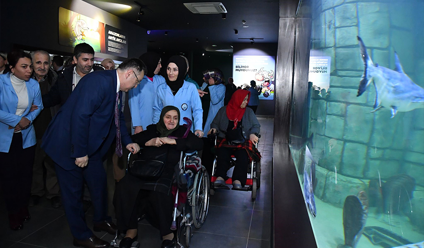 Belgesellerde izledikleri Okyanus canlılarını Trabzon'da da gördüler!