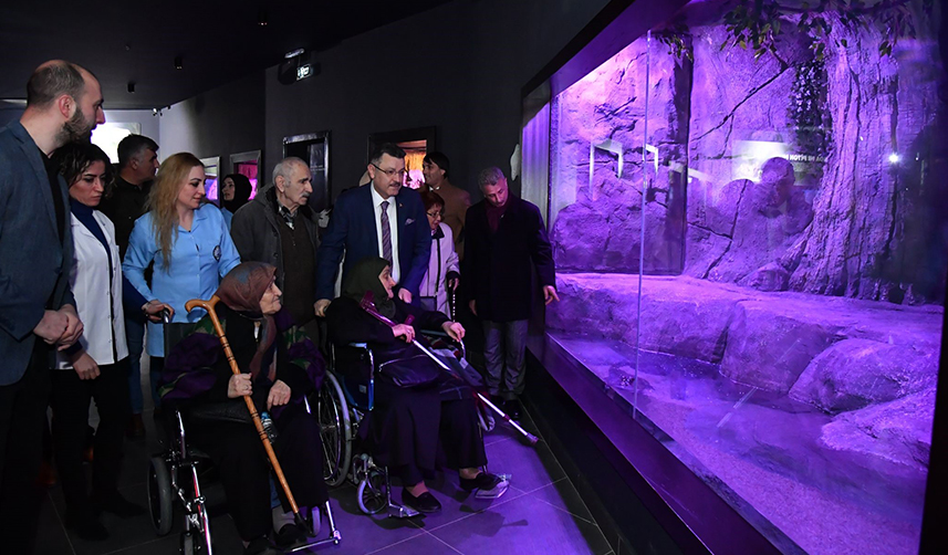 Belgesellerde izledikleri Okyanus canlılarını Trabzon'da da gördüler!