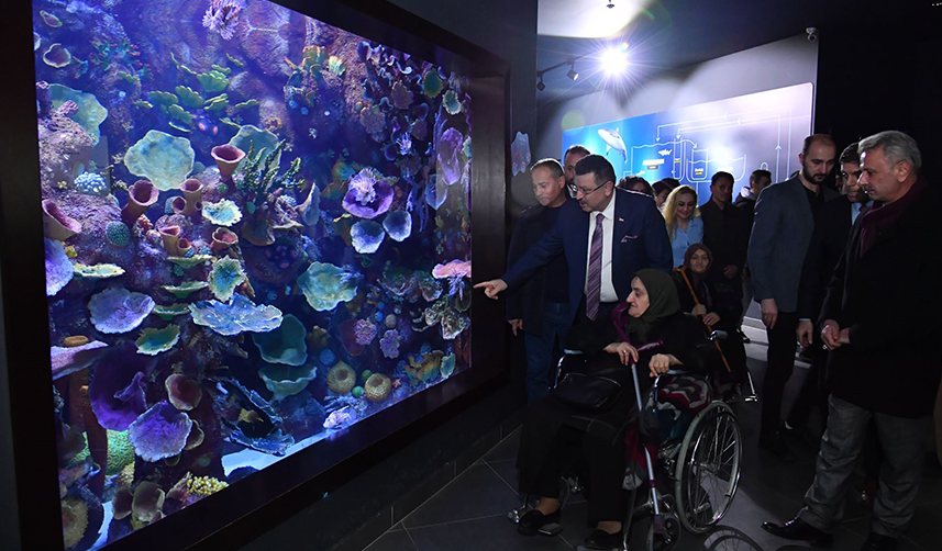 Belgesellerde izledikleri Okyanus canlılarını Trabzon'da da gördüler!