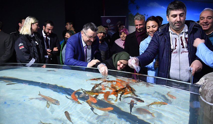 Belgesellerde izledikleri Okyanus canlılarını Trabzon'da da gördüler!