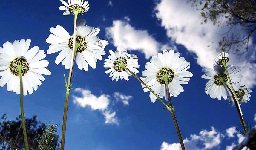 Cemre ne zaman düşecek? Cemre düşmesi nedir? 2023 Cemre düşme tarihleri! 