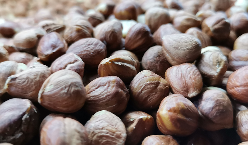 Trabzon'un 3 aylık fındık ihracat rakamları belli oldu