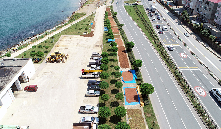 Türkiye'ye fındıkta dev rakip! ABD dikim alanlarını yaygınlaştırıyor