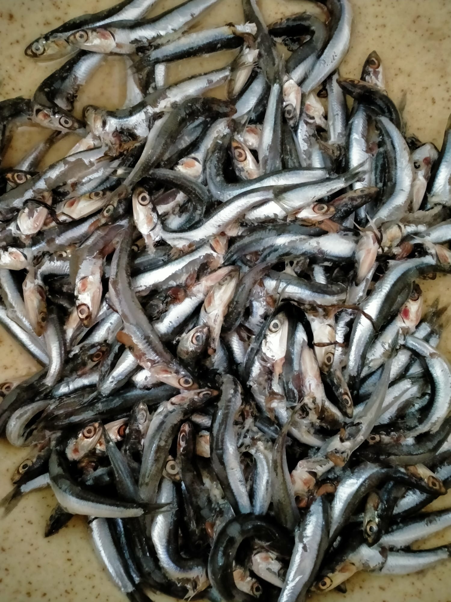 Trabzon’da isyan ettiren görüntü! “Biz alıştık, bari depremzedelere yaşatmayalım”