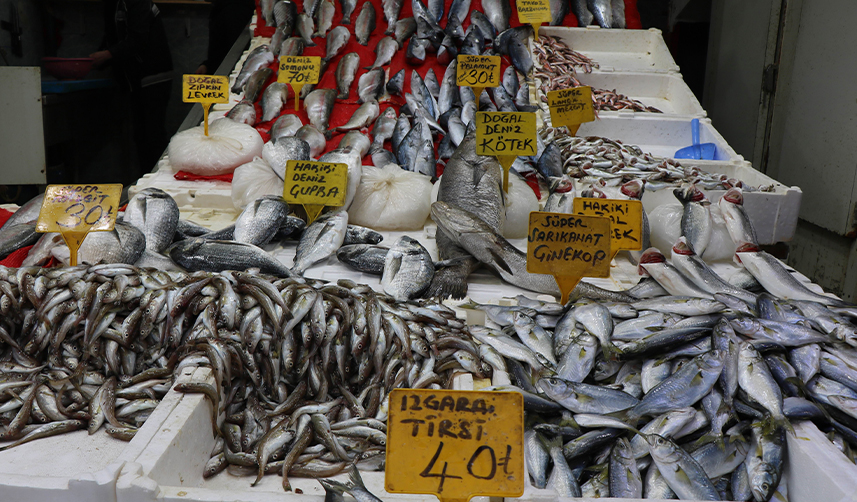 Karadeniz'de-balık-az-ama-ilgi-çok!