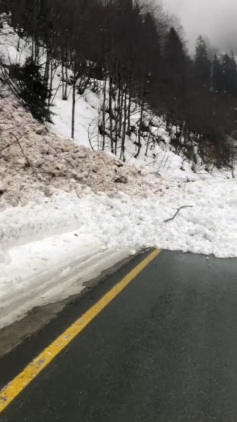 Rize'de çığın kapattığı yol ulaşıma açıldı
