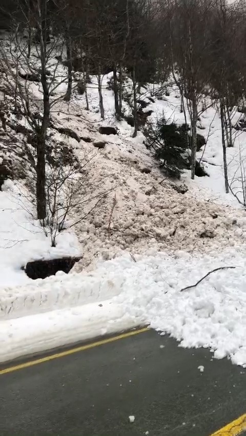 Rize'de çığın kapattığı yol ulaşıma açıldı