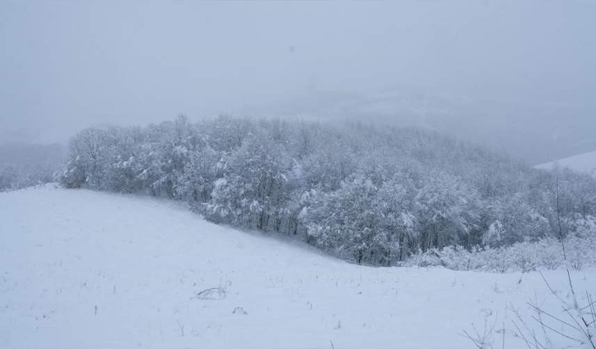 Samsun'un-yüksek-kesimleri-beyaza-büründü