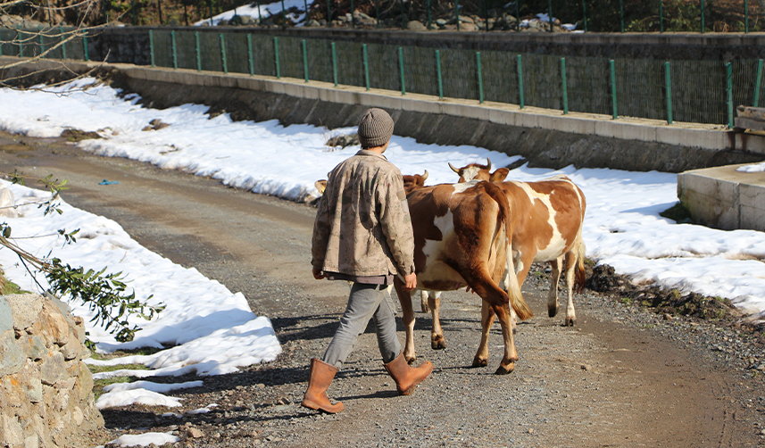 Şehir-hayatından-sıkıldı-10-yaşında-köyde-yaşamaya-başladı