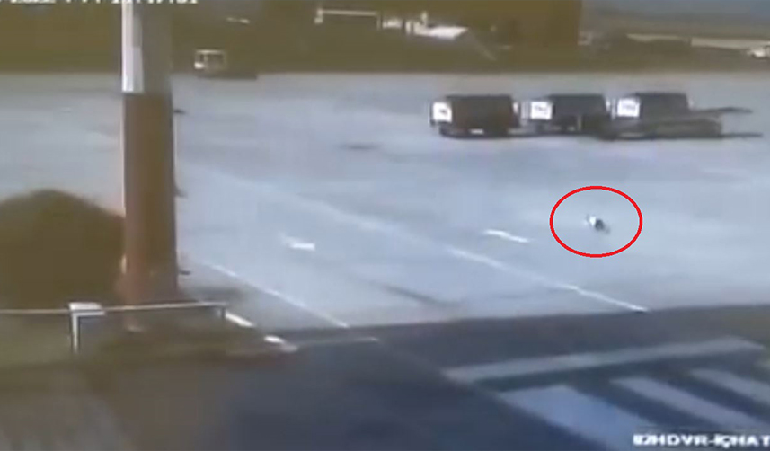 Trabzon Havalimanında kedisini kaybetmişti! Sevindiren haber geldi