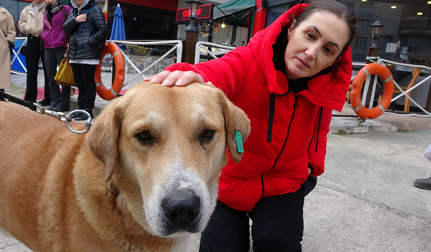 Trabzon'da 3 yıl önce terk edilmişti! O noktadan ayrılmıyor