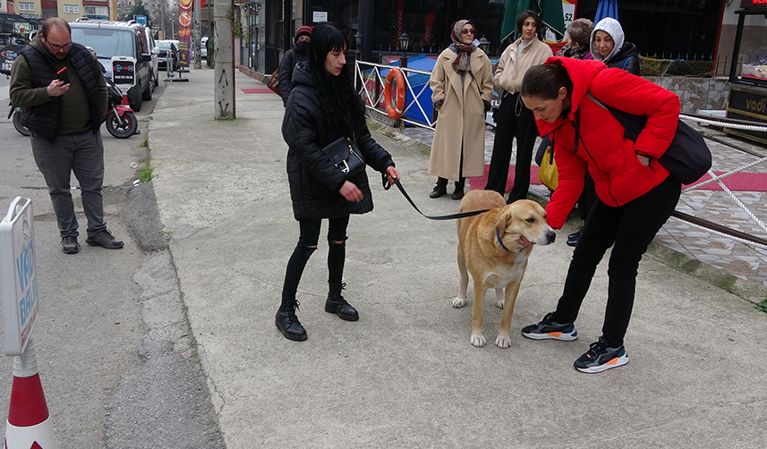 Trabzon'da 3 yıl önce terk edilmişti! O noktadan ayrılmıyor