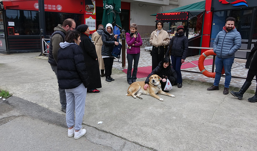 Trabzon'da 3 yıl önce terk edilmişti! O noktadan ayrılmıyor