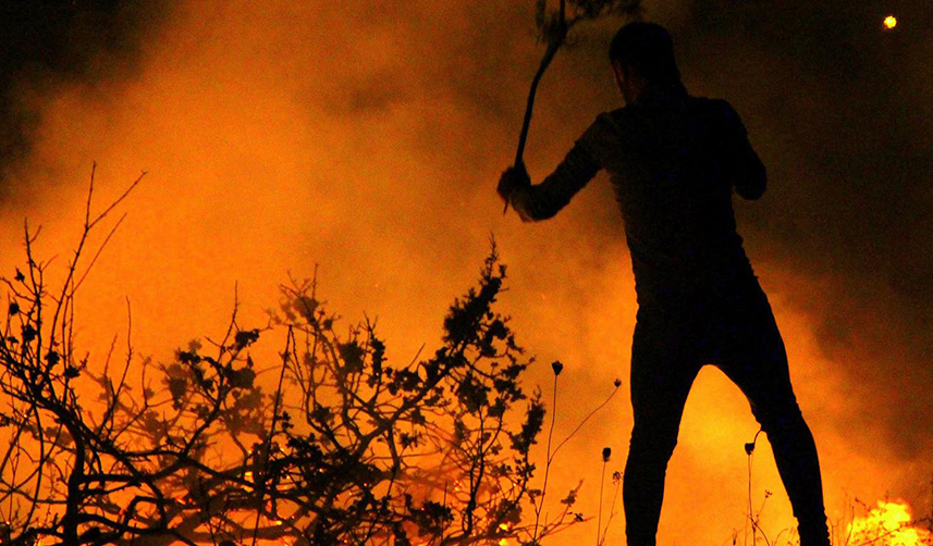 Trabzon'da açıkladı! Duyarlılık orman yangın oranını düşüşe geçirdi