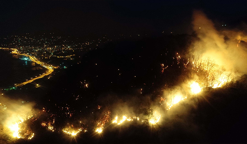 Trabzon'da açıkladı! Duyarlılık orman yangın oranını düşüşe geçirdi