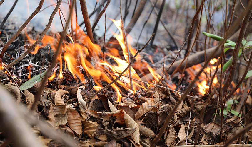 Trabzon'da açıkladı! Duyarlılık orman yangın oranını düşüşe geçirdi