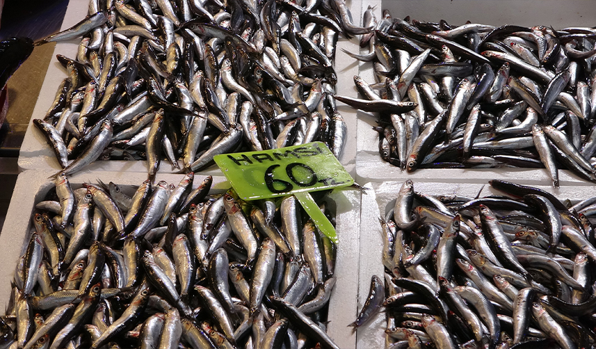 Trabzon'da-balık-tezgahlarında-çeşit-bolluğu