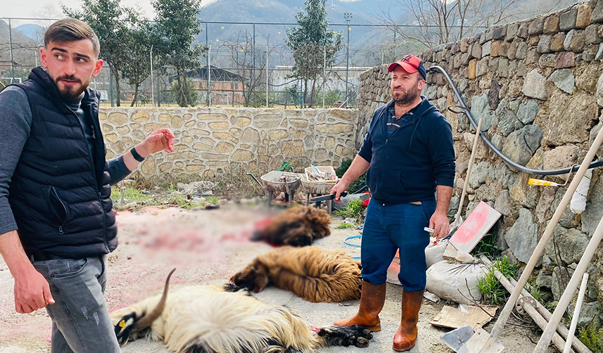 Trabzon'da-depremzedelerin-et-ihtiyacını-karşılamak-için-harekete-geçtiler