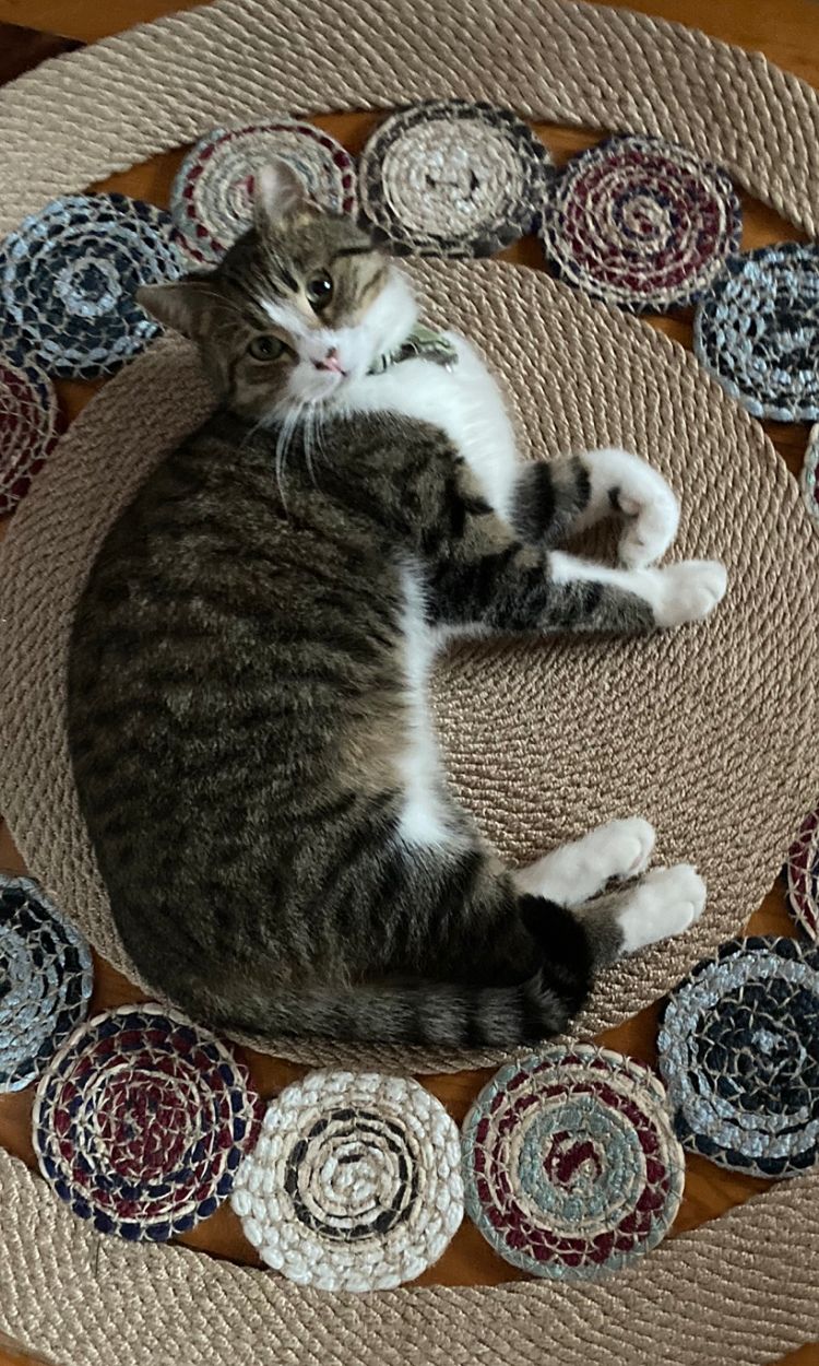 WhatsApp Image 2023-02-03 at 08.52.14 (1)