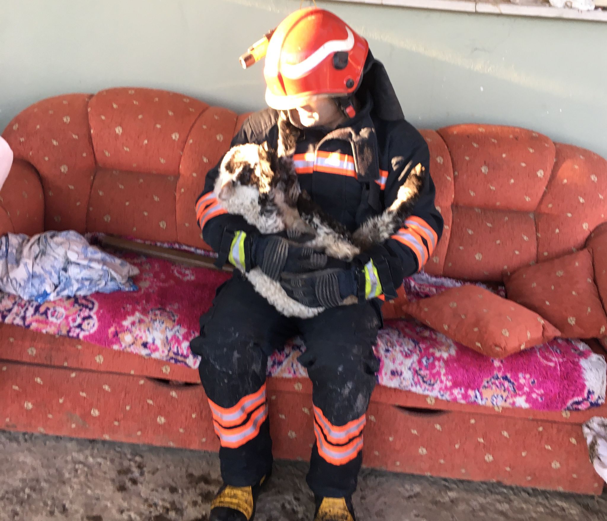 WhatsApp Image 2023-02-05 at 16.11.55