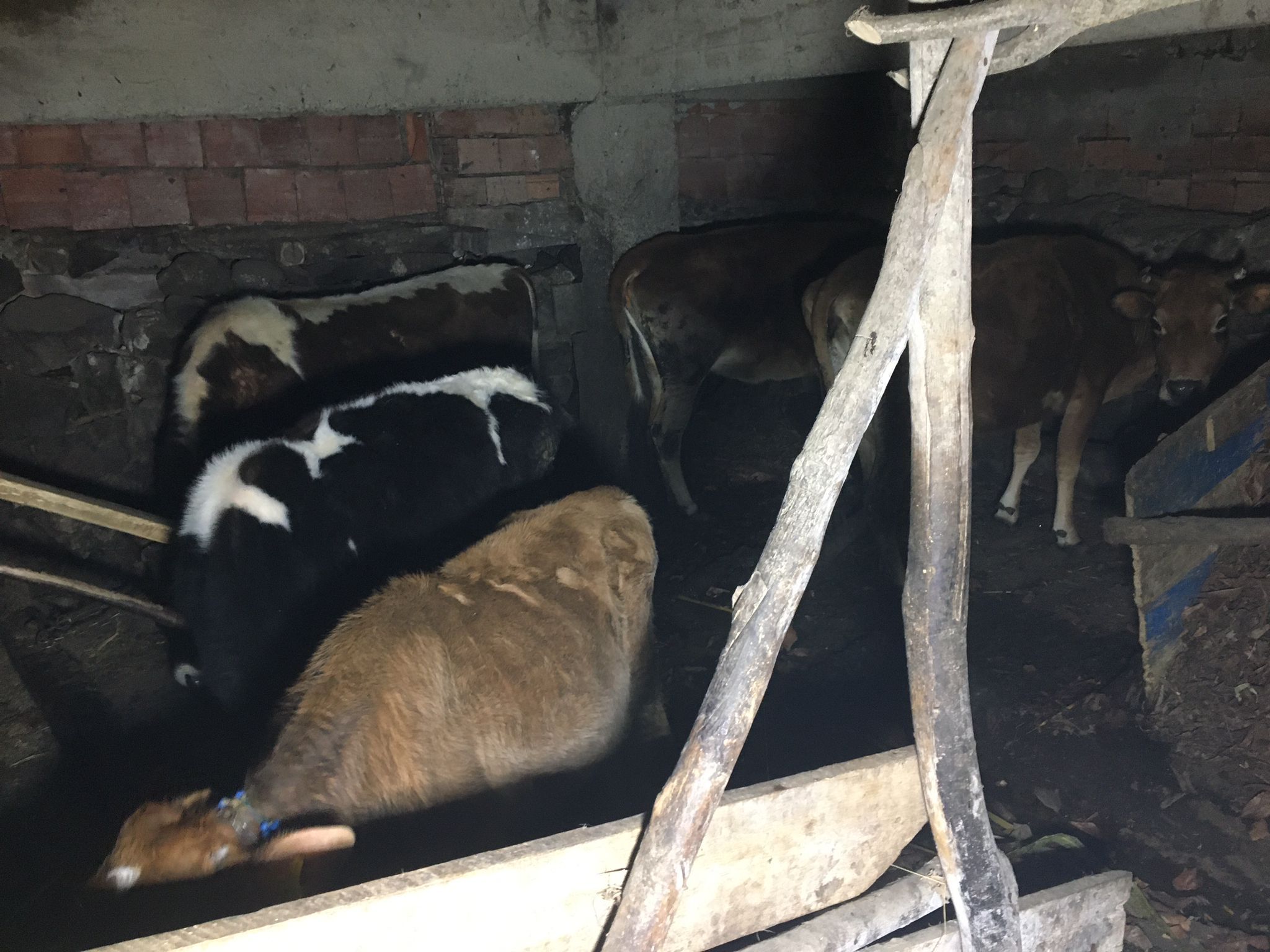 WhatsApp Image 2023-02-05 at 16.11.56 (1)