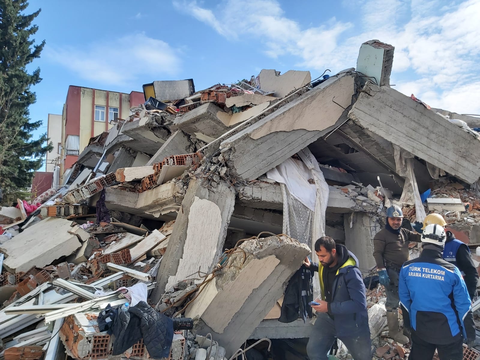 WhatsApp Image 2023-02-08 at 13.45.51