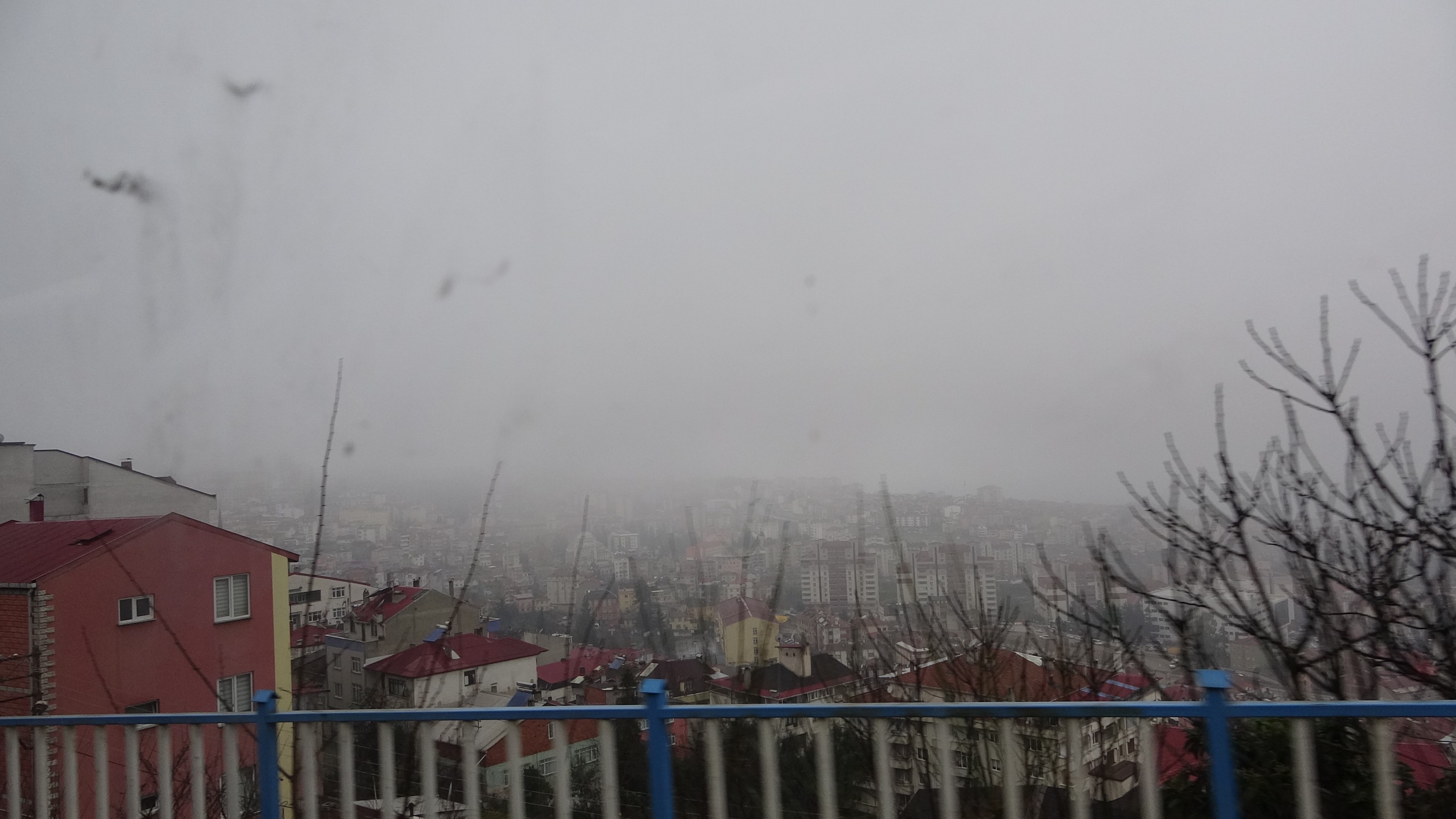 Trabzon'da yoğun sis etkili oldu