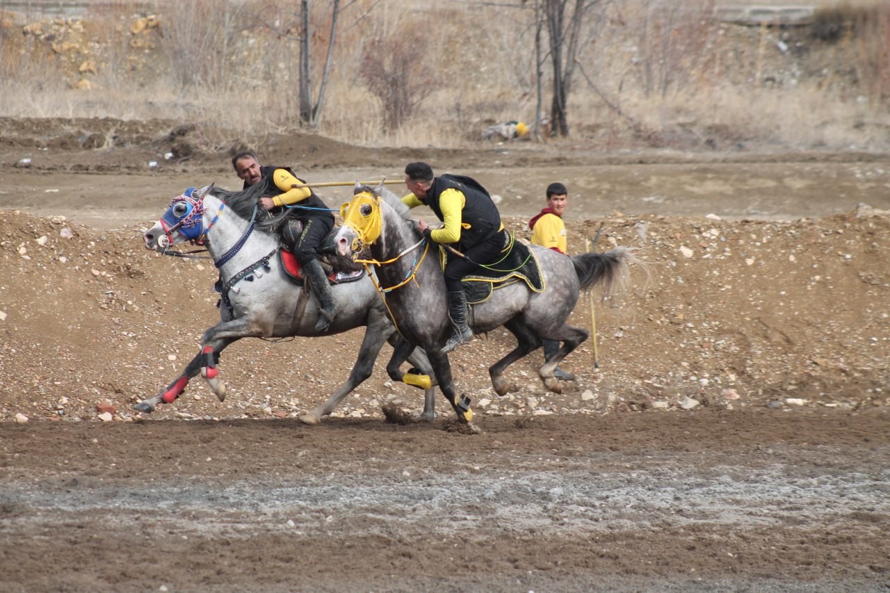 Bayburt'ta bu kez atlar depremzede aileler için dörtnala koştu
