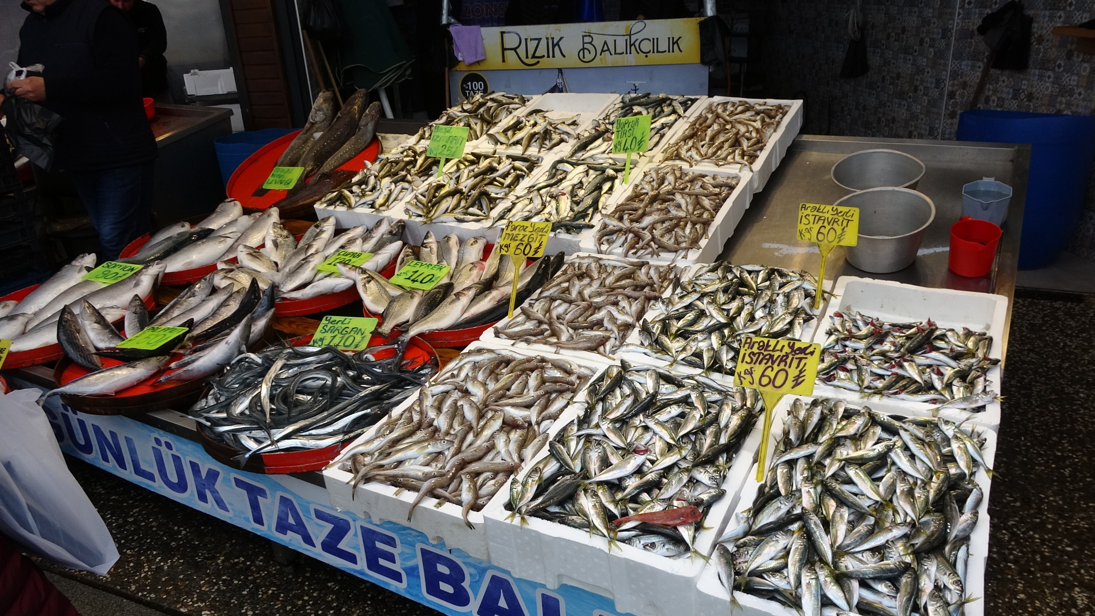 Trabzon'da hamsi sezonu kapattı! Vatandaş istavrit ve mezgite döndü