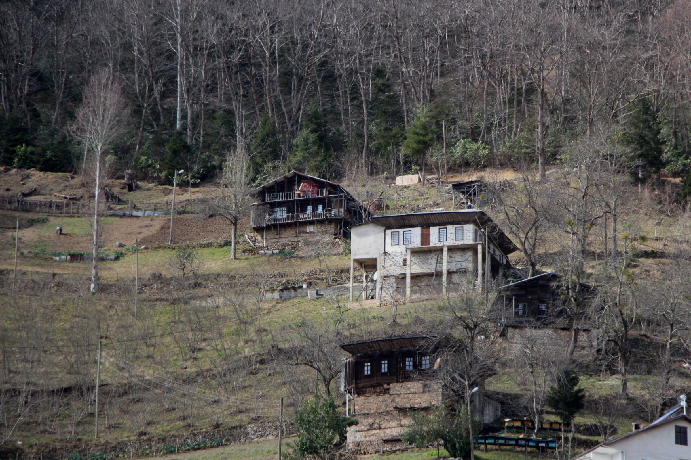 Felaket peşlerini bırakmadı! 58 yıl sonra Trabzon'a döndüler 