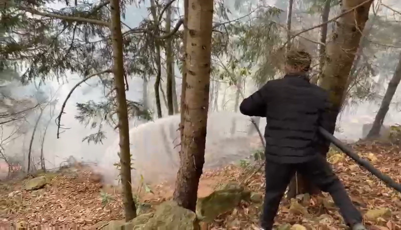 Trabzon'da ormanlık alanda yangın! 