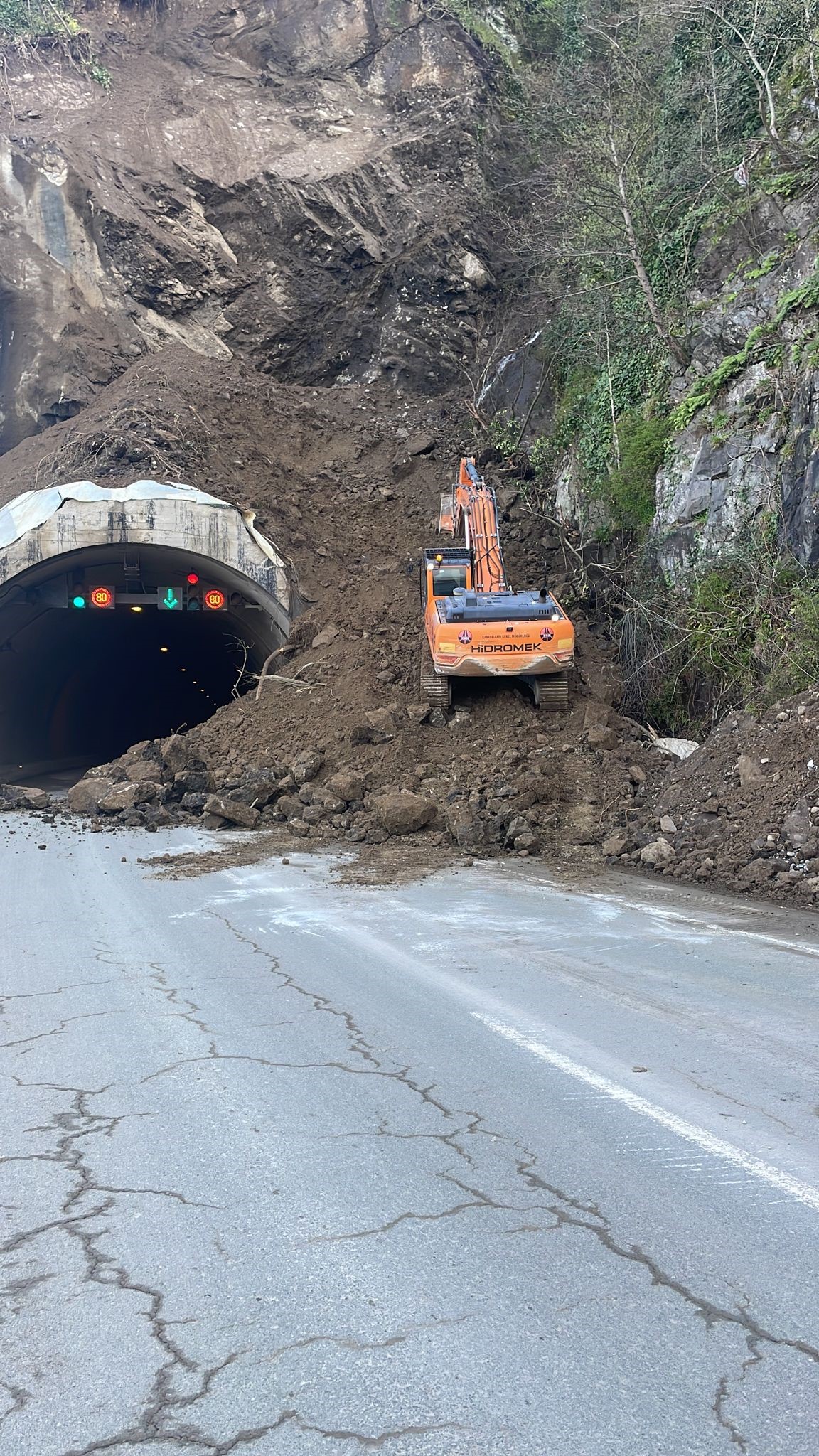 Artvin'de yaşanan heyelan korkuttu