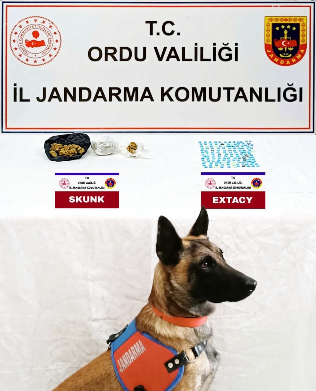 Ordu'da uyuşturucu operasyonu! 2 kişi yakalandı 