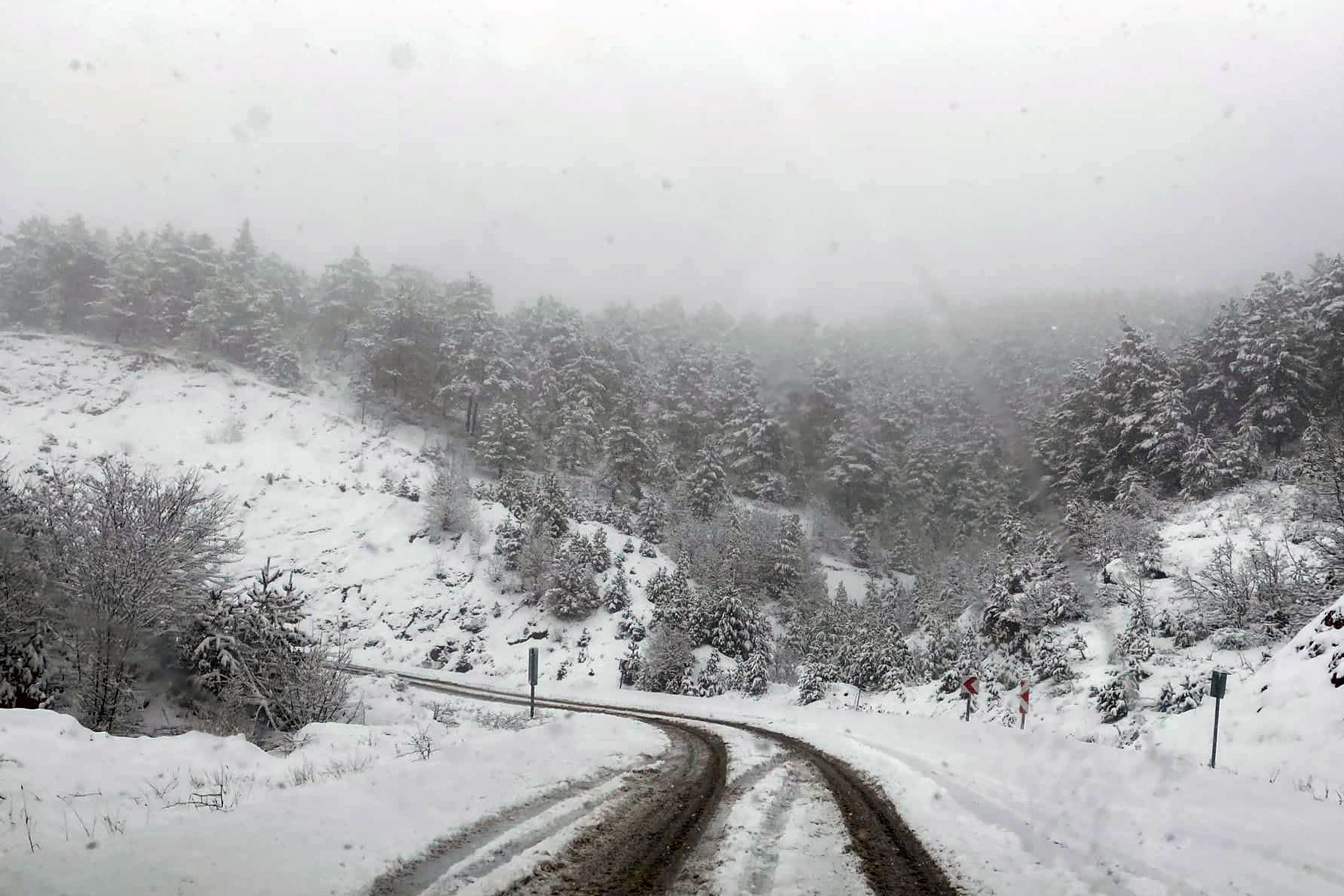 Gümüşhane'de kar yağışı etkili oluyor 